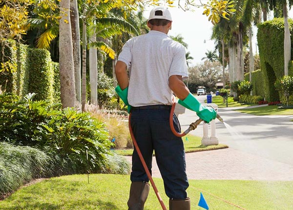 About Willamina OR Pest Control Pros